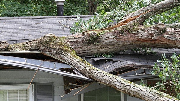 NJ Roof Storm Damage